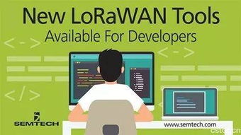 NB-IoT與LoRa 應(yīng)用軟件開發(fā)視角下的部署關(guān)系